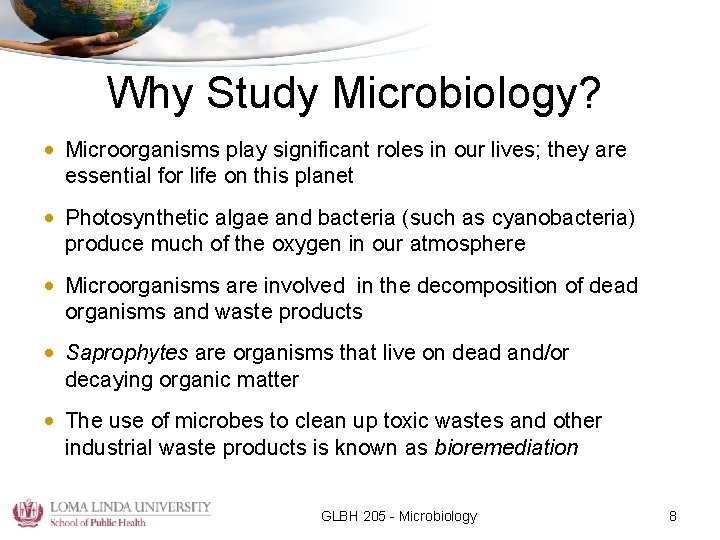 Why Study Microbiology? • Microorganisms play significant roles in our lives; they are essential