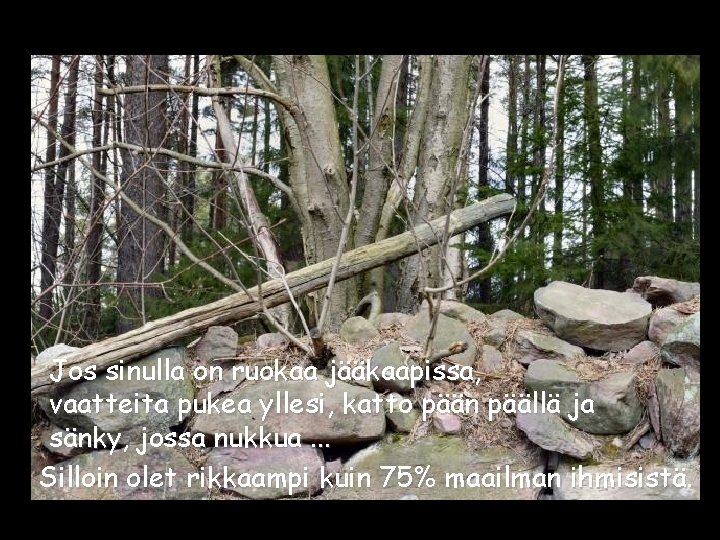 Jos sinulla on ruokaa jääkaapissa, vaatteita pukea yllesi, katto pään päällä ja sänky, jossa