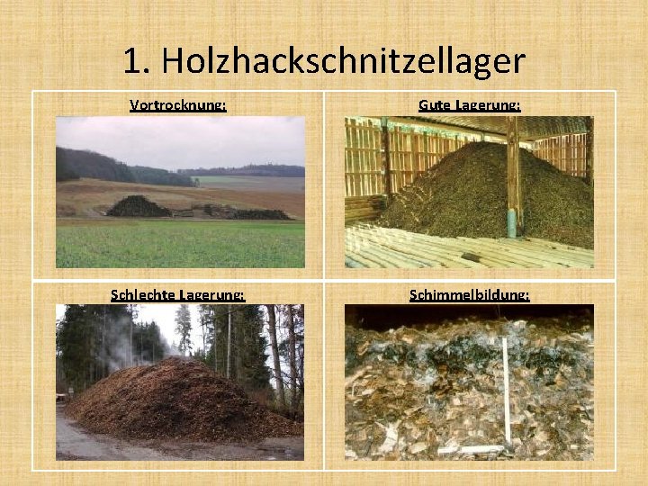 1. Holzhackschnitzellager Vortrocknung: Gute Lagerung: Schlechte Lagerung: Schimmelbildung: 