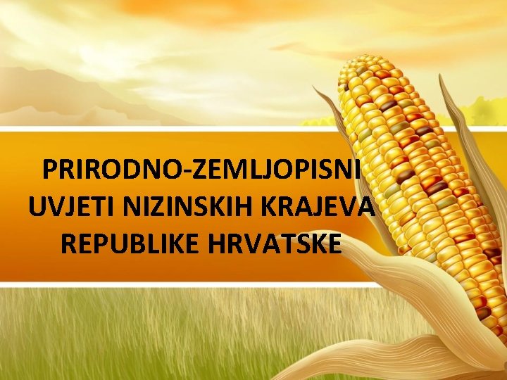 PRIRODNO-ZEMLJOPISNI UVJETI NIZINSKIH KRAJEVA REPUBLIKE HRVATSKE 