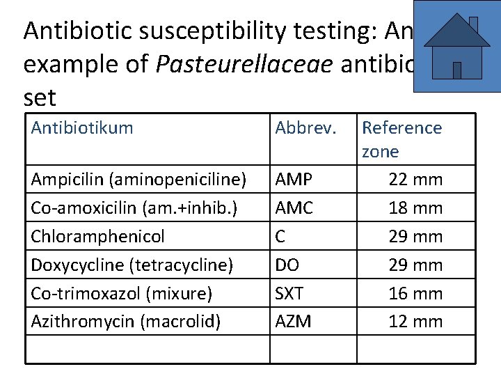 macrolid antibiotikumok prosztatitisekkel)