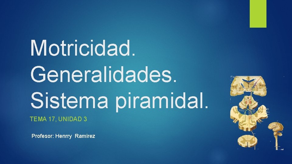 Motricidad. Generalidades. Sistema piramidal. TEMA 17, UNIDAD 3 Profesor: Henrry Ramirez 