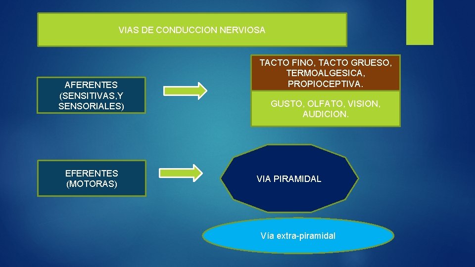 VIAS DE CONDUCCION NERVIOSA AFERENTES (SENSITIVAS, Y SENSORIALES) EFERENTES (MOTORAS) TACTO FINO, TACTO GRUESO,