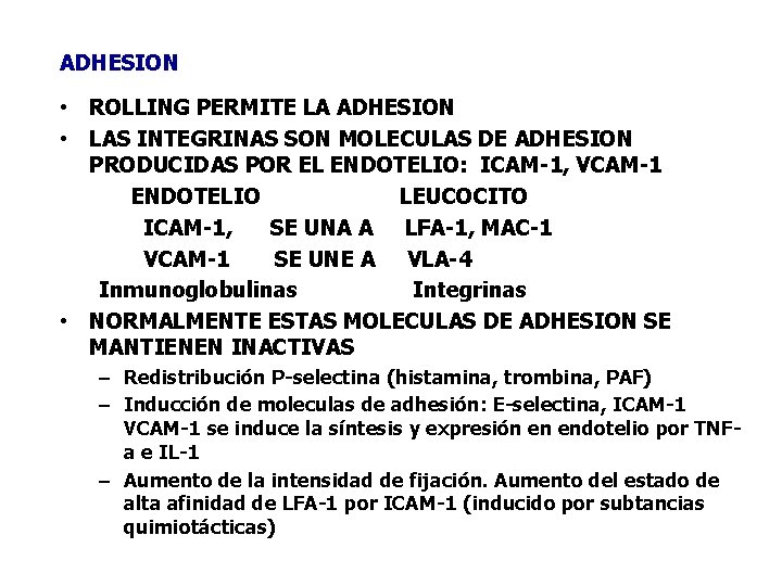 ADHESION • ROLLING PERMITE LA ADHESION • LAS INTEGRINAS SON MOLECULAS DE ADHESION PRODUCIDAS