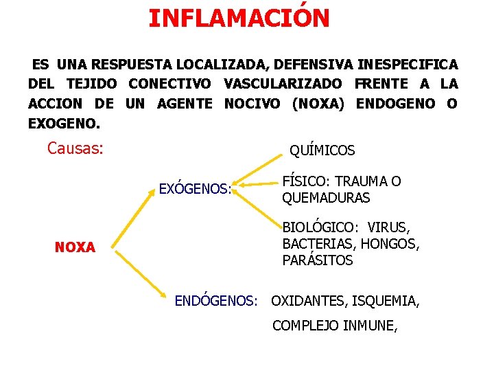 INFLAMACIÓN ES UNA RESPUESTA LOCALIZADA, DEFENSIVA INESPECIFICA DEL TEJIDO CONECTIVO VASCULARIZADO FRENTE A LA