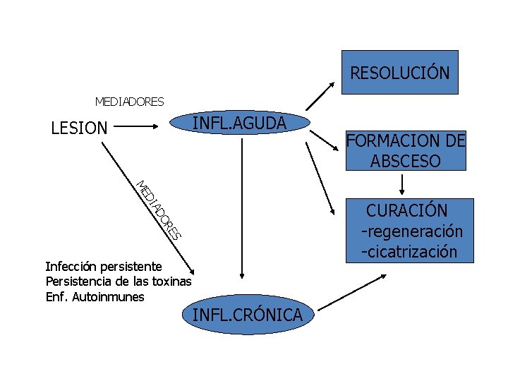 RESOLUCIÓN MEDIADORES INFL. AGUDA LESION FORMACION DE ABSCESO DI ME ES OR AD CURACIÓN