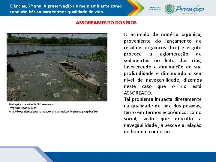 Ciências, 7º ano, A preservação do meio ambiente como condição básica para termos qualidade