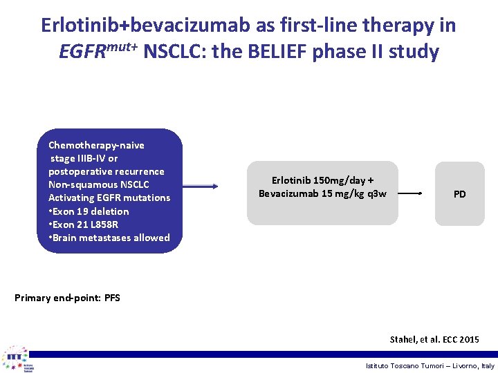 Erlotinib+bevacizumab as first-line therapy in EGFRmut+ NSCLC: the BELIEF phase II study Chemotherapy-naive stage