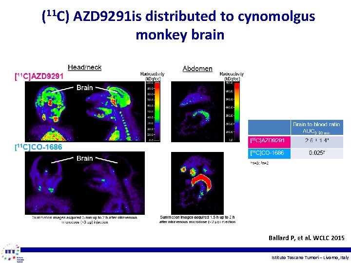 (11 C) AZD 9291 is distributed to cynomolgus monkey brain Ballard P, et al.