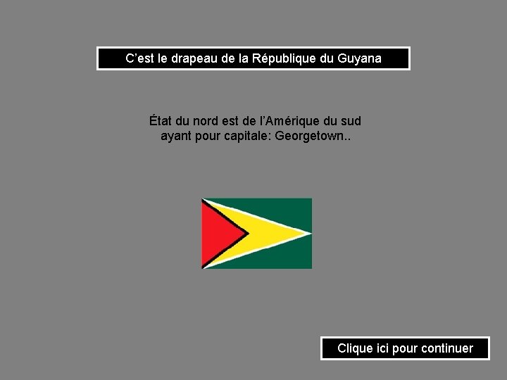 C’est le drapeau de la République du Guyana État du nord est de l’Amérique