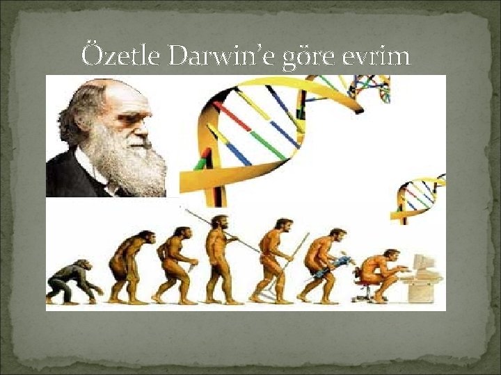 Özetle Darwin’e göre evrim 