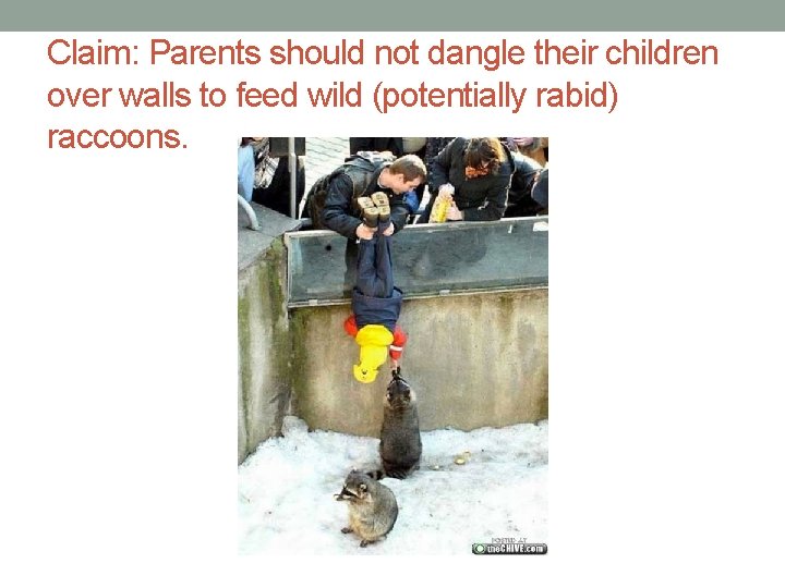 Claim: Parents should not dangle their children over walls to feed wild (potentially rabid)