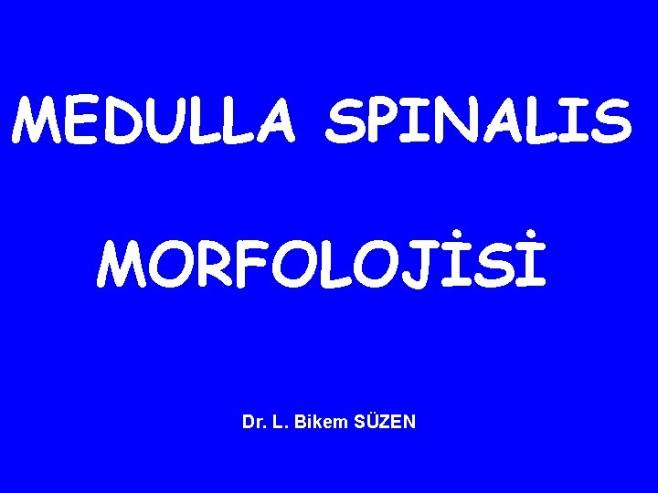 MEDULLA SPINALIS MORFOLOJİSİ Dr. L. Bikem SÜZEN 