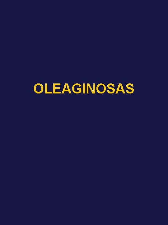 OLEAGINOSAS 
