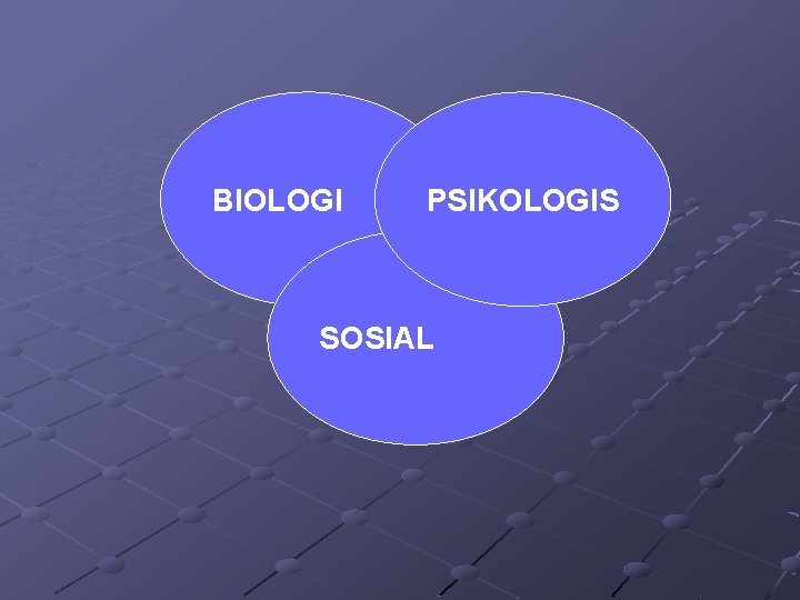 BIOLOGI PSIKOLOGIS SOSIAL 