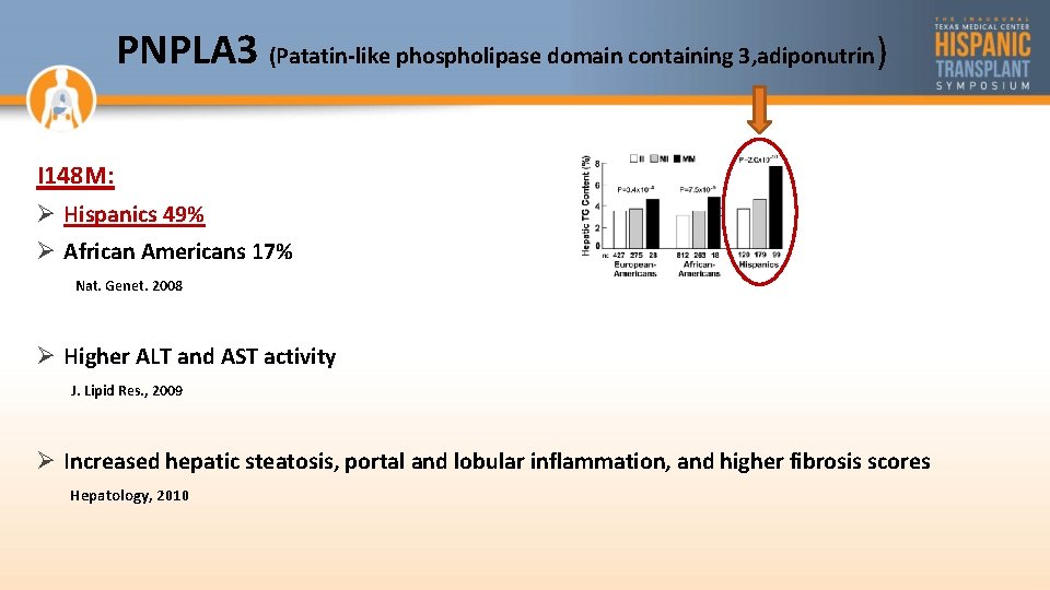 PNPLA 3 (Patatin-like phospholipase domain containing 3, adiponutrin) I 148 M: Ø Hispanics 49%