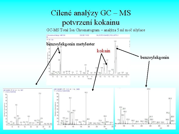 Cílené analýzy GC – MS potvrzení kokainu GC-MS Total Ion Chromatogram – analýza 5