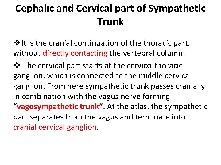 Cephalic and Cervical part of Sympathetic Trunk v. It is the cranial continuation of