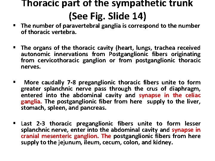 Thoracic part of the sympathetic trunk (See Fig. Slide 14) § The number of