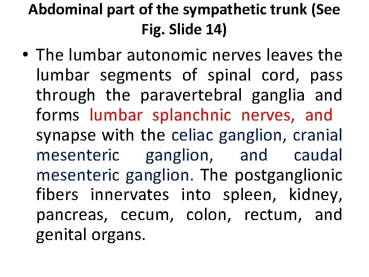 Abdominal part of the sympathetic trunk (See Fig. Slide 14) • The lumbar autonomic