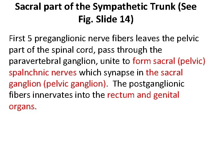 Sacral part of the Sympathetic Trunk (See Fig. Slide 14) First 5 preganglionic nerve