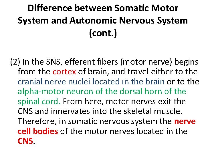 Difference between Somatic Motor System and Autonomic Nervous System (cont. ) (2) In the Difference between Somatic Motor System and Autonomic Nervous System (cont. ) (2) In the