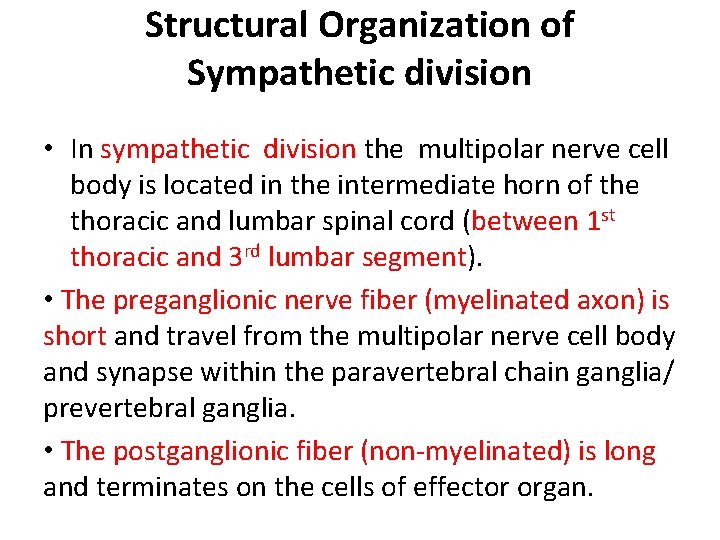 Structural Organization of Sympathetic division • In sympathetic division the multipolar nerve cell body