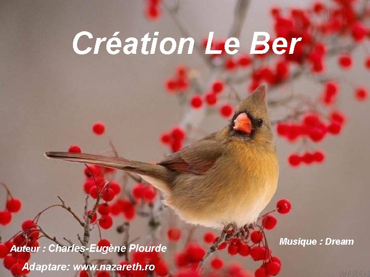 Création Le Ber Auteur : Charles-Eugène Plourde Adaptare: www. nazareth. ro Musique : Dream
