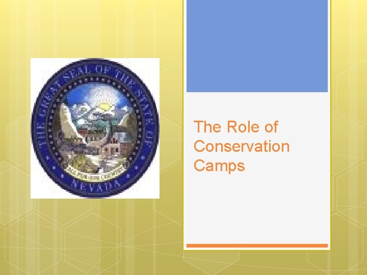 The Role of Conservation Camps 