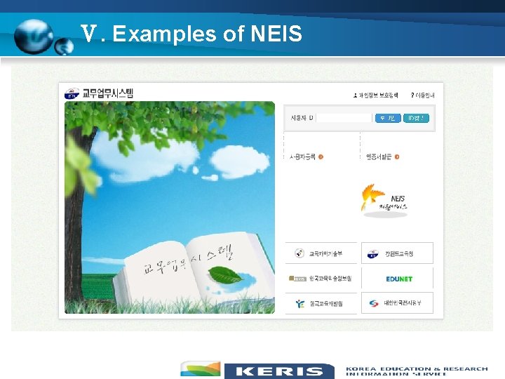 Ⅴ. Examples of NEIS 