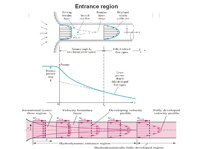 Entrance region 