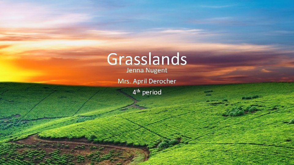 Grasslands Jenna Nugent Mrs. April Derocher 4 th period 