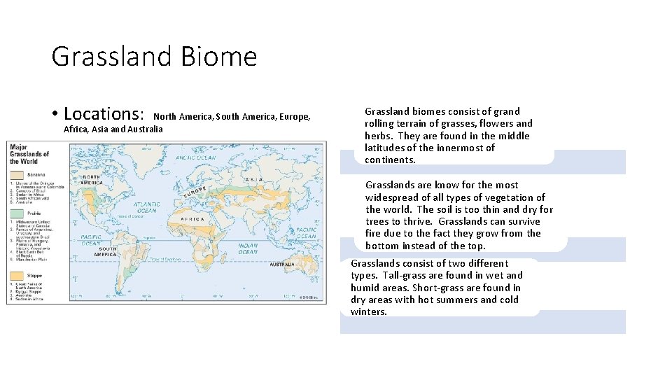 Grassland Biome • Locations: North America, South America, Europe, Africa, Asia and Australia Grassland