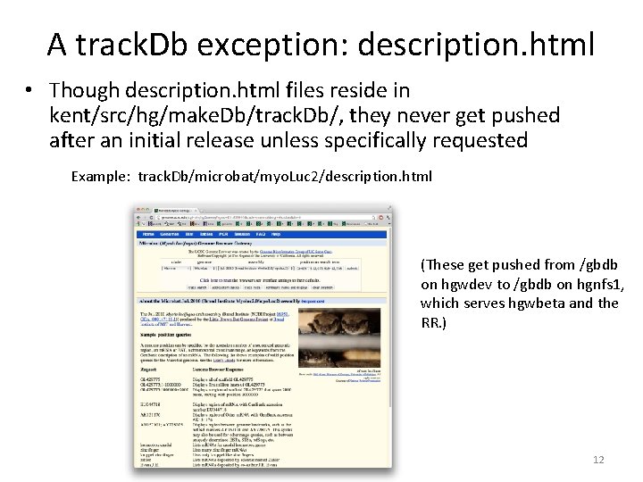 A track. Db exception: description. html • Though description. html files reside in kent/src/hg/make. A track. Db exception: description. html • Though description. html files reside in kent/src/hg/make.