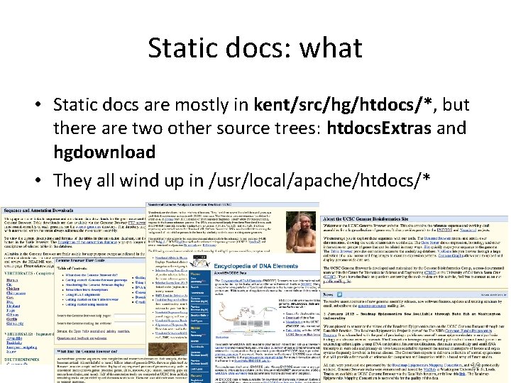 Static docs: what • Static docs are mostly in kent/src/hg/htdocs/*, but there are two Static docs: what • Static docs are mostly in kent/src/hg/htdocs/*, but there are two