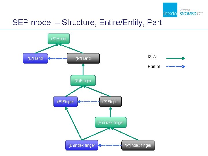 SEP model – Structure, Entire/Entity, Part (S)Hand (E)Hand IS A (P)Hand Part of (S)Finger SEP model – Structure, Entire/Entity, Part (S)Hand (E)Hand IS A (P)Hand Part of (S)Finger