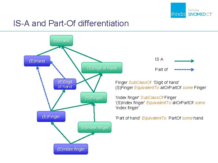 IS-A and Part-Of differentiation (S)Hand IS A (E)Hand (S)Digit of hand (E)Digit of hand IS-A and Part-Of differentiation (S)Hand IS A (E)Hand (S)Digit of hand (E)Digit of hand