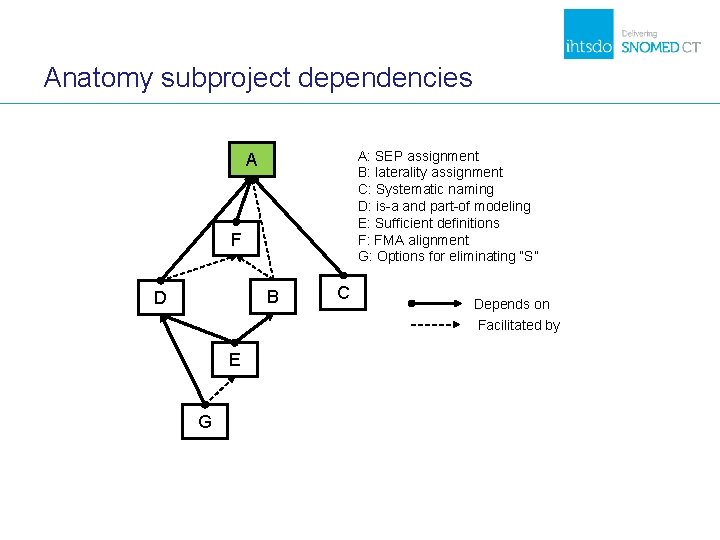 Anatomy subproject dependencies A: SEP assignment B: laterality assignment C: Systematic naming D: is-a Anatomy subproject dependencies A: SEP assignment B: laterality assignment C: Systematic naming D: is-a