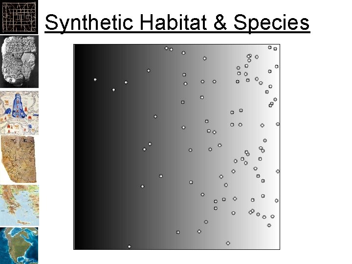 Synthetic Habitat & Species 