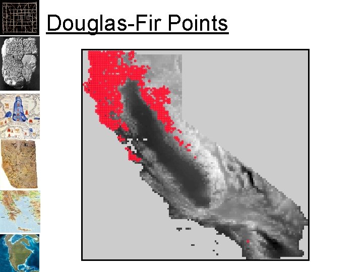 Douglas-Fir Points 