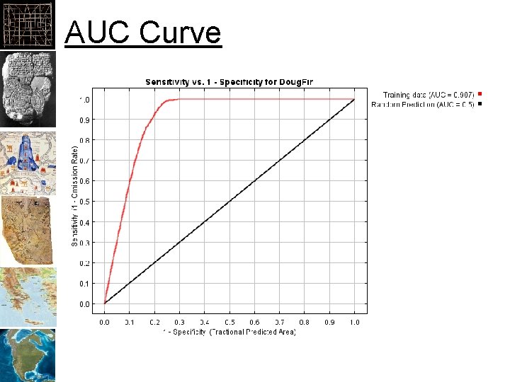 AUC Curve 