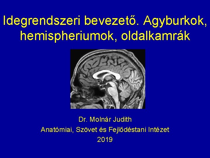 Idegrendszeri bevezető. Agyburkok, hemispheriumok, oldalkamrák Dr. Molnár Judith Anatómiai, Szövet és Fejlődéstani Intézet 2019