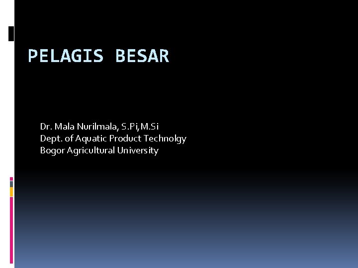 PELAGIS BESAR Dr. Mala Nurilmala, S. Pi, M. Si Dept. of Aquatic Product Technolgy