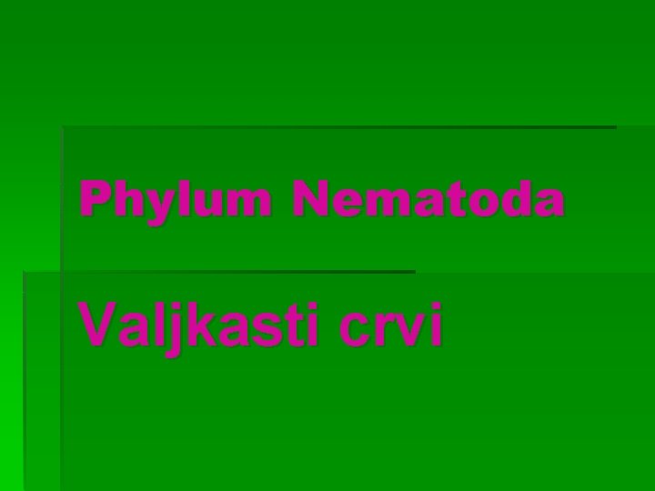 Phylum Nematoda Valjkasti crvi 