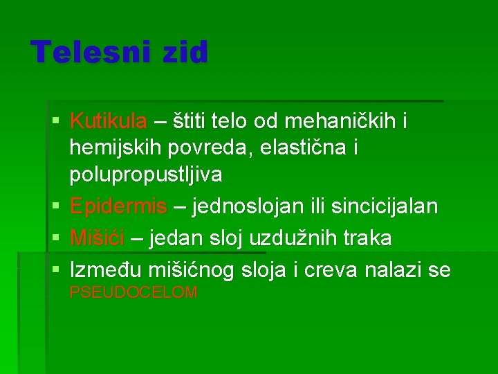 Telesni zid § Kutikula – štiti telo od mehaničkih i hemijskih povreda, elastična i