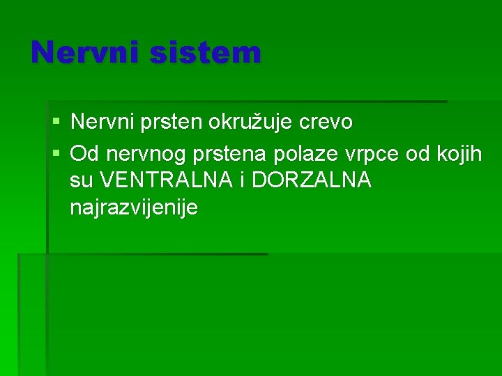 Nervni sistem § Nervni prsten okružuje crevo § Od nervnog prstena polaze vrpce od
