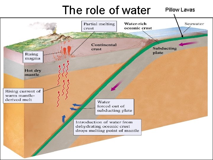 The role of water Pillow Lavas 