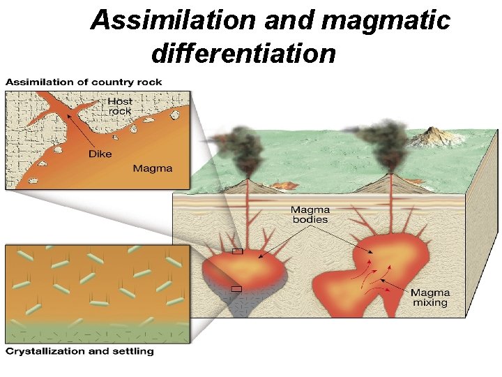 Assimilation and magmatic differentiation Assimilation and magmatic differentiation
