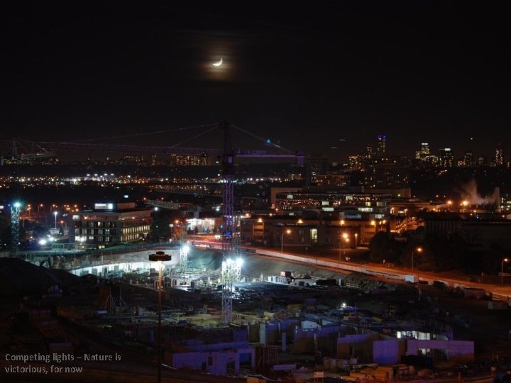 Competing lights – Nature is victorious, for now Competing lights – Nature is victorious, for now