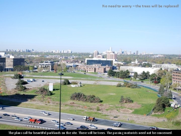 No need to worry – the trees will be replaced! The plans call for No need to worry – the trees will be replaced! The plans call for